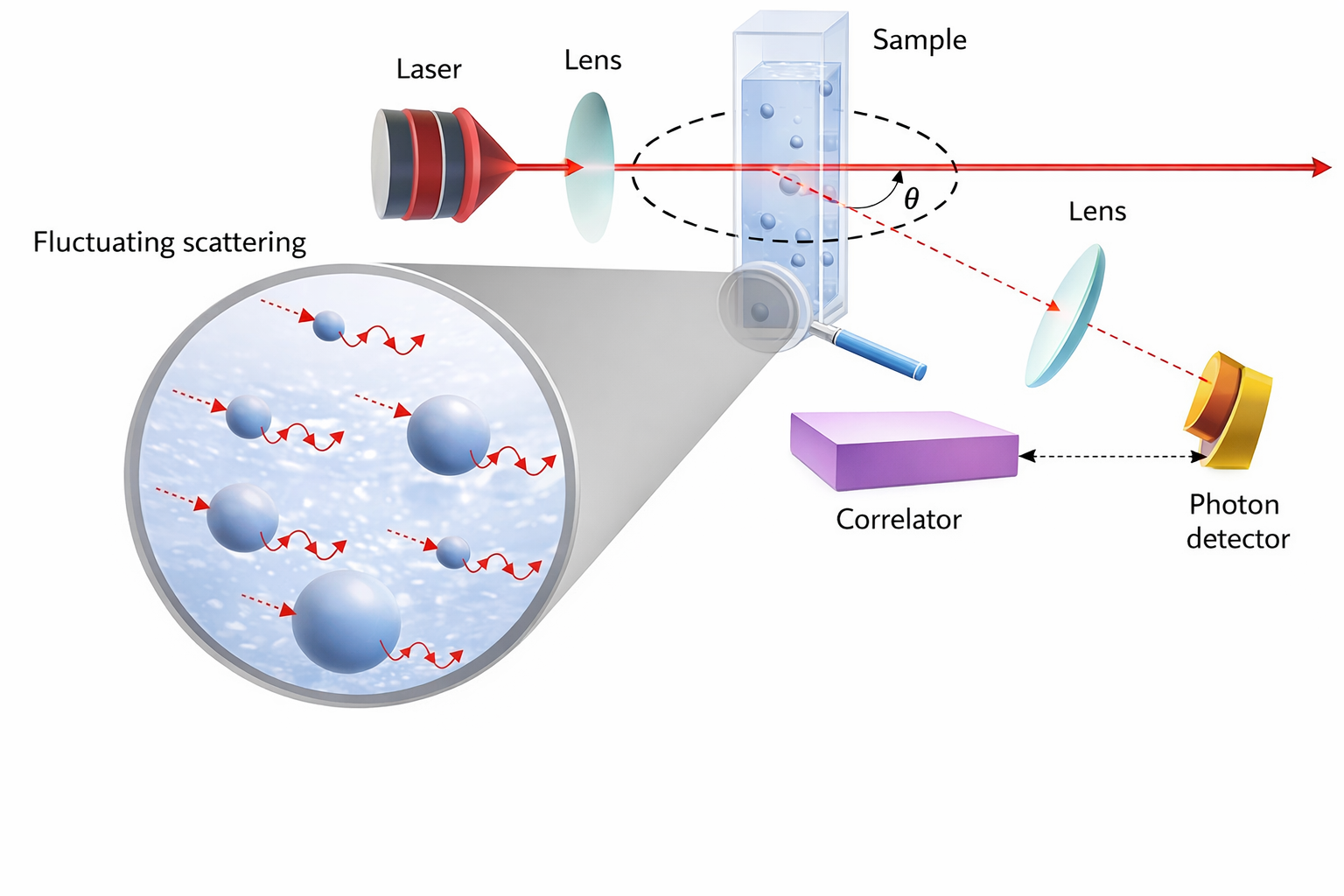 What is Dynamic Light Scattering (DLS) and How Does It Work? - Dublin ...